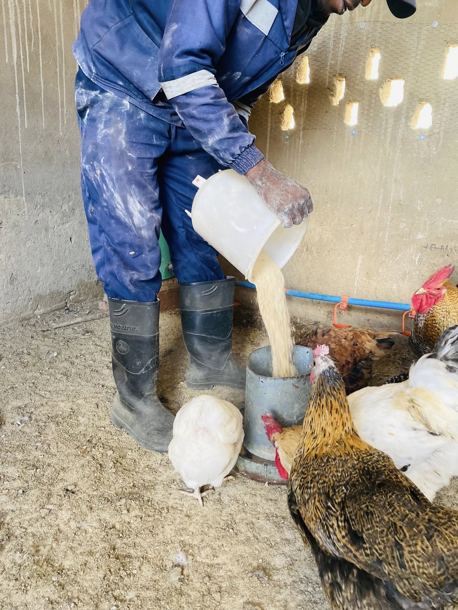 Farm 30